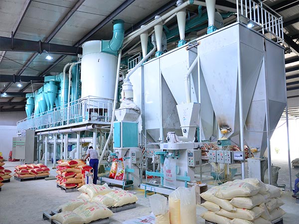 automatic maize processing plant