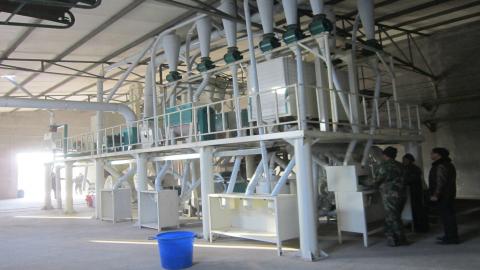 How can rice processing equipment seize the market with technical advantages?