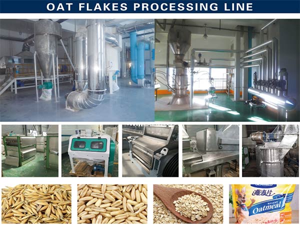 South America Oat Flakes Production Line Delivery