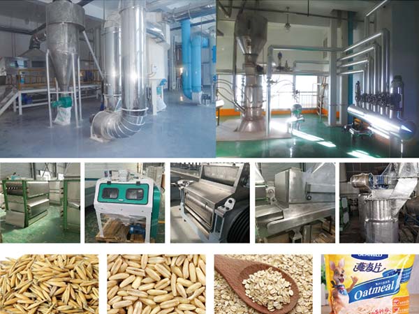 oat processing production line