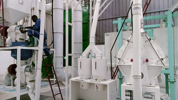 maize milling plant in Uganda