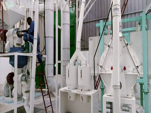 maize milling plant 