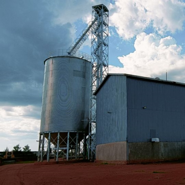 Uganda 30TPD Maize Milling Plant Installed