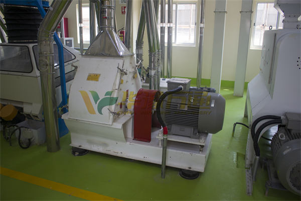 maize milling plant in kenya