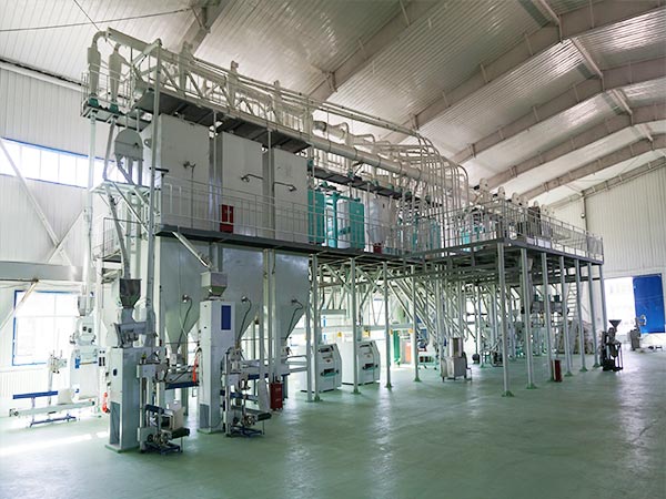 80-100TPD Corn Grits and Flour Production Line - WinTone Grain ...