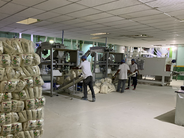 240Ton/24H Precooked Corn Flour Production Line 240Ton/24H Precooked Corn Flour Production Line