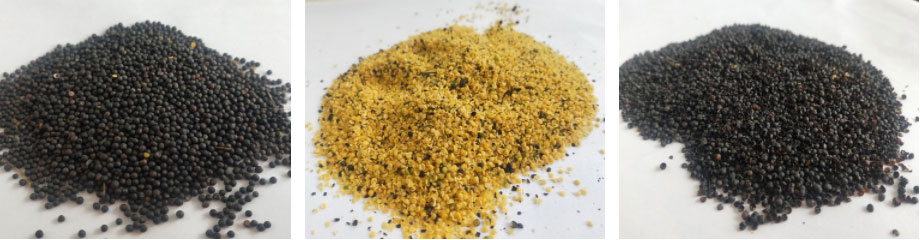 Rapeseed Shelling Plants FINISHED PRODUCTS